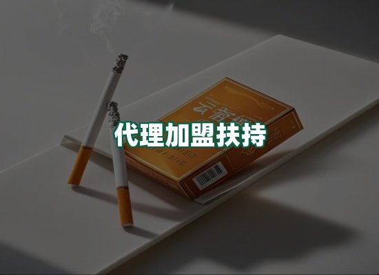 核心优势